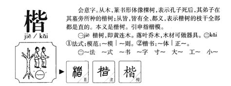 楷五行|楷字五行属什么